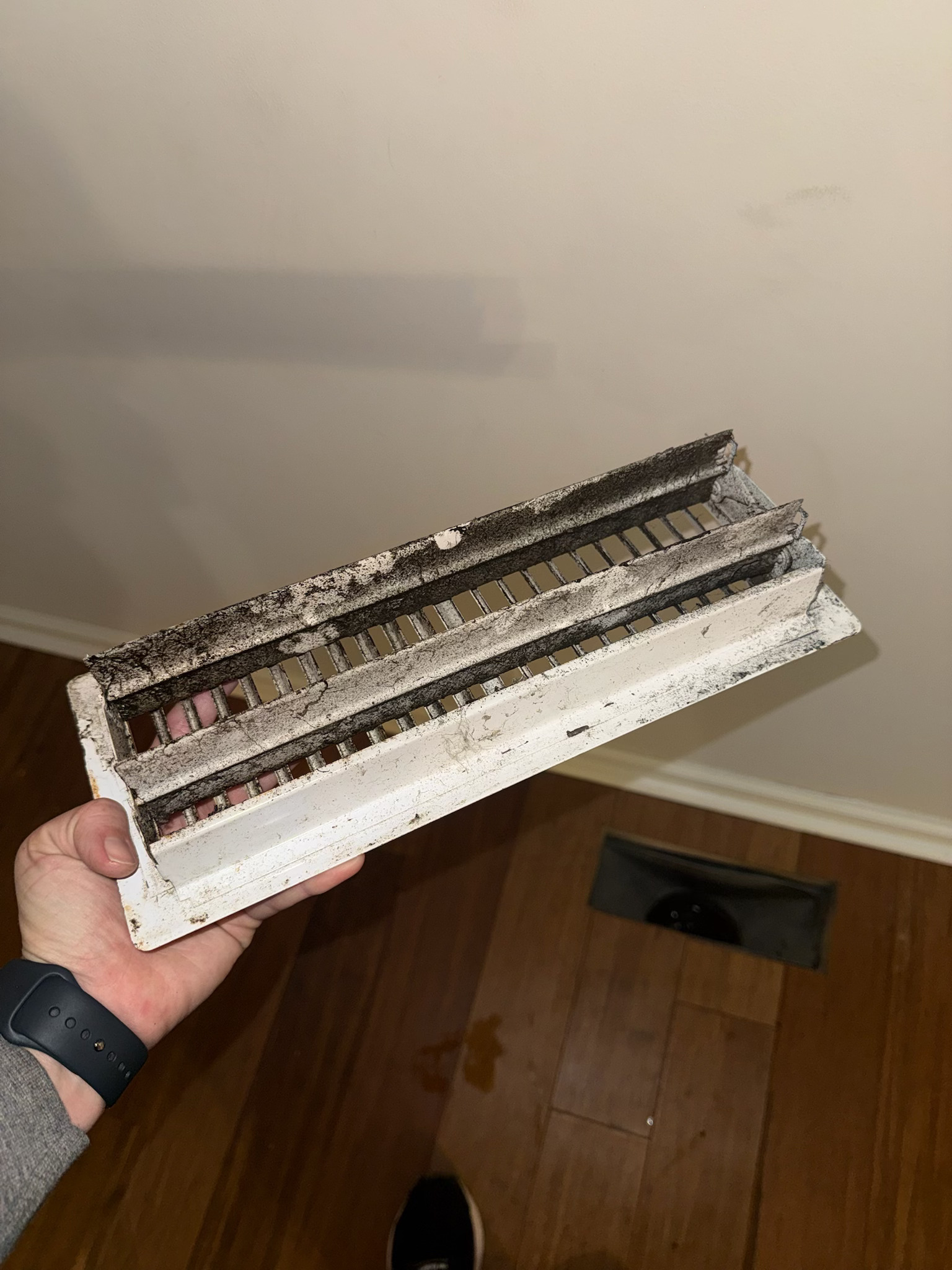 Before cleaning
